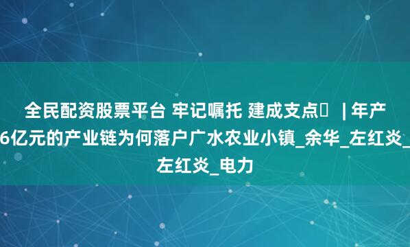 全民配资股票平台 牢记嘱托 建成支点⑰ | 年产值5.6亿元的产业链为何落户广水农业小镇_余华_左红炎_电力
