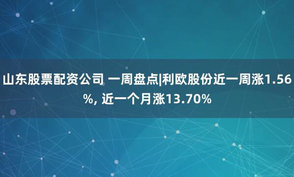 山东股票配资公司 一周盘点|利欧股份近一周涨1.56%, 近一个月涨13.70%